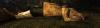post-400-1248890281_thumb.jpg